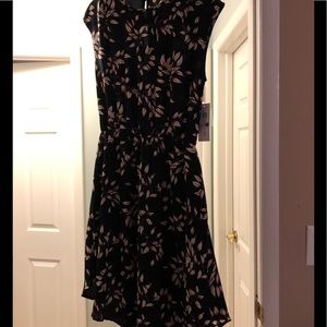 Collective concepts katelynn dress